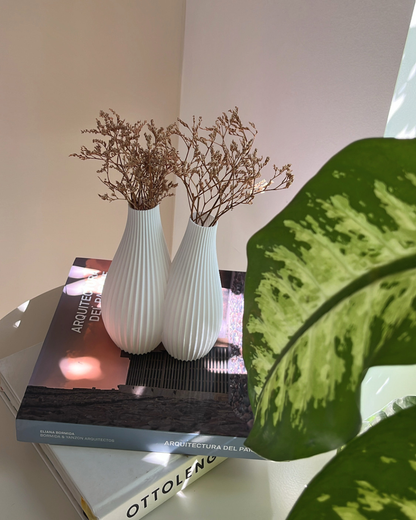 Florero Siamés